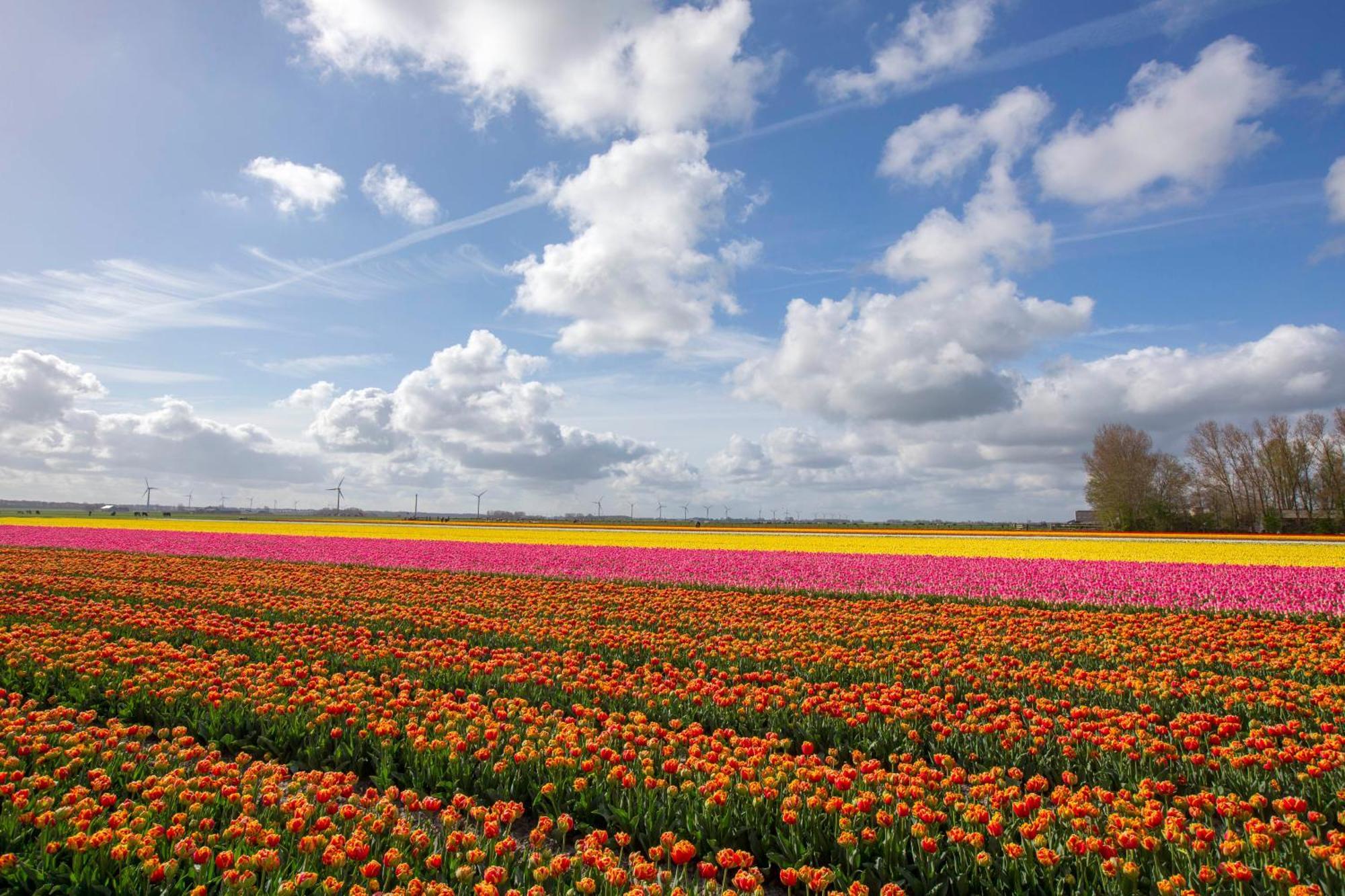 Sint Maartensvlotbrug Boerenslag 18ヴィラ エクステリア 写真